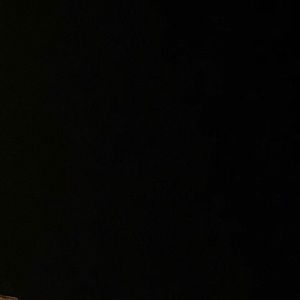 Meet your Posher, Dan